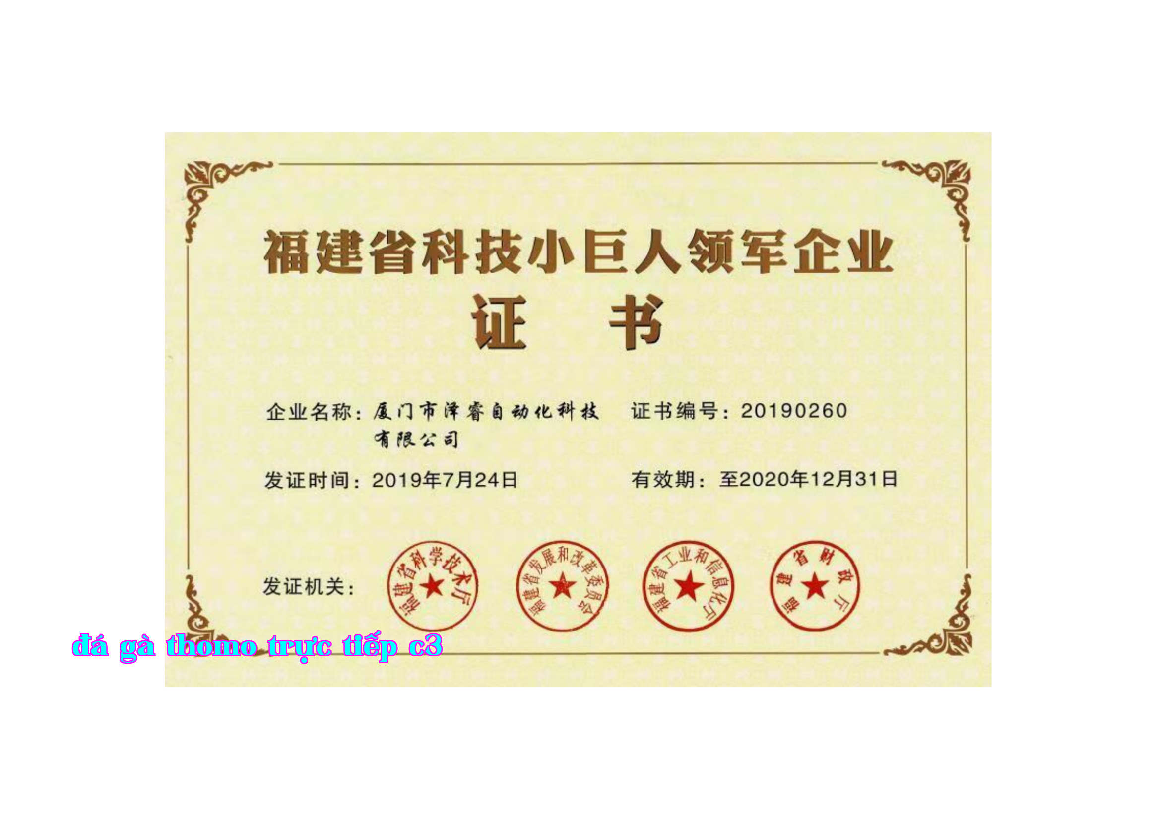 Doanh Nghiệp Tiểu Môn Đệ Khoa Học Công Nghệ của Tỉnh Phúc Kiến Doanh Nghiệp Tiểu Môn Đệ Khoa Học Công Nghệ của Tỉnh Phúc Kiến